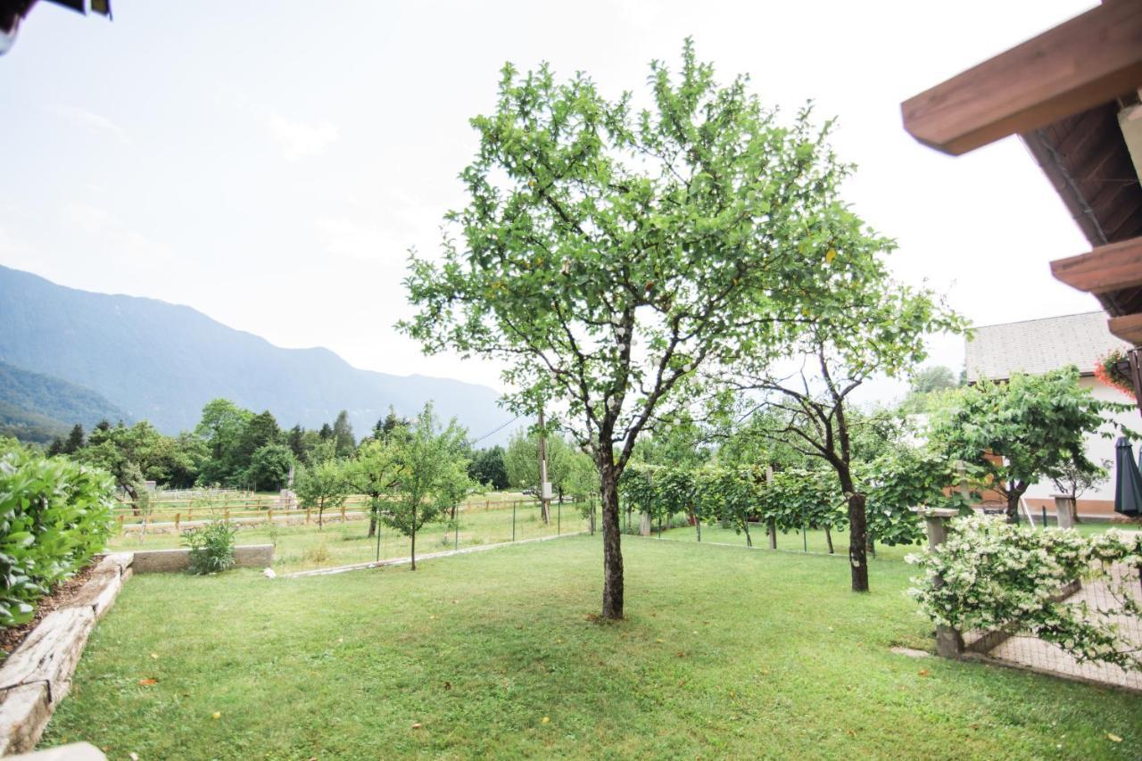 Apartma Lojz Bovec Esterno foto